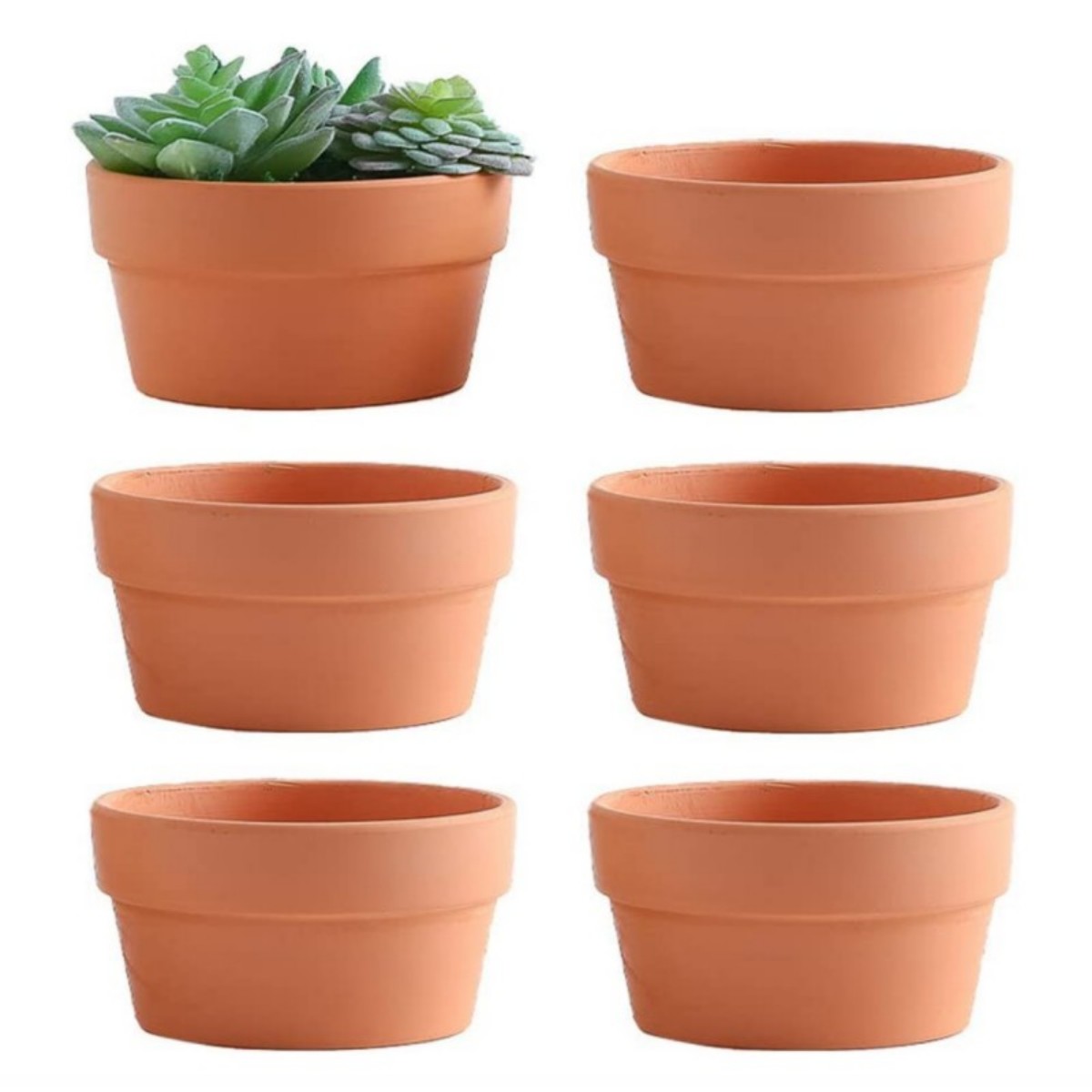 Aloe Vera Pot - 6ชิ้นกระถางดินเผา3.5 