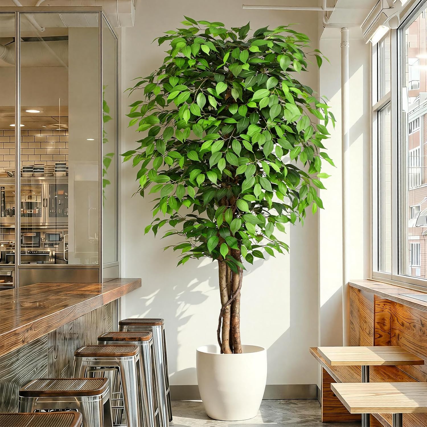 Dracaena Marginata - ต้นไทรประดิษฐ์เสมือนจริงพร้อมลำต้นธรรมชาติและใบไม้เขียวชอุ่ม เหมาะสำหรับตกแต่งภายในบ้านและสำนักงานสมัยใหม่