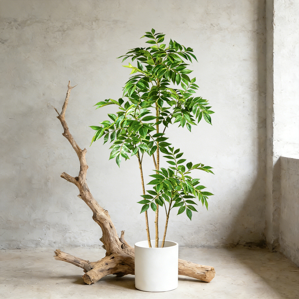 Dracaena Marginata - ต้นยางพาราเทียมขนาด 76-140 ซม. ต้นไทรปลอม ใบฟิกเกอร์พลาสติก กิ่งต้นไทรเขตร้อน