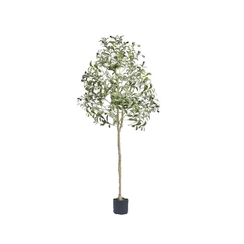 Dracaena Marginata - ต้นมะกอกเทียม SucceBuy สูง 4/5/6 ฟุต ต้นไม้ปลอม