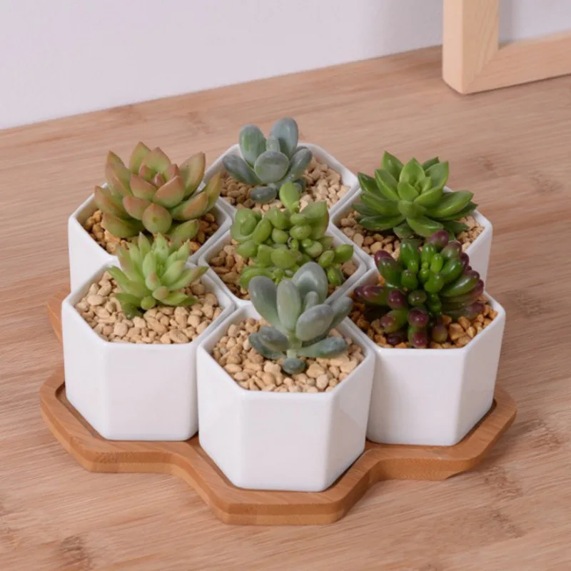 Aloe Vera Pot - ชุด 4/7/9/10 หกเหลี่ยมกระถางดอกไม้เซรามิคสีขาวกระถางต้นไม้ Succulent Plant พร้อมขาตั้งไม้ไผ่