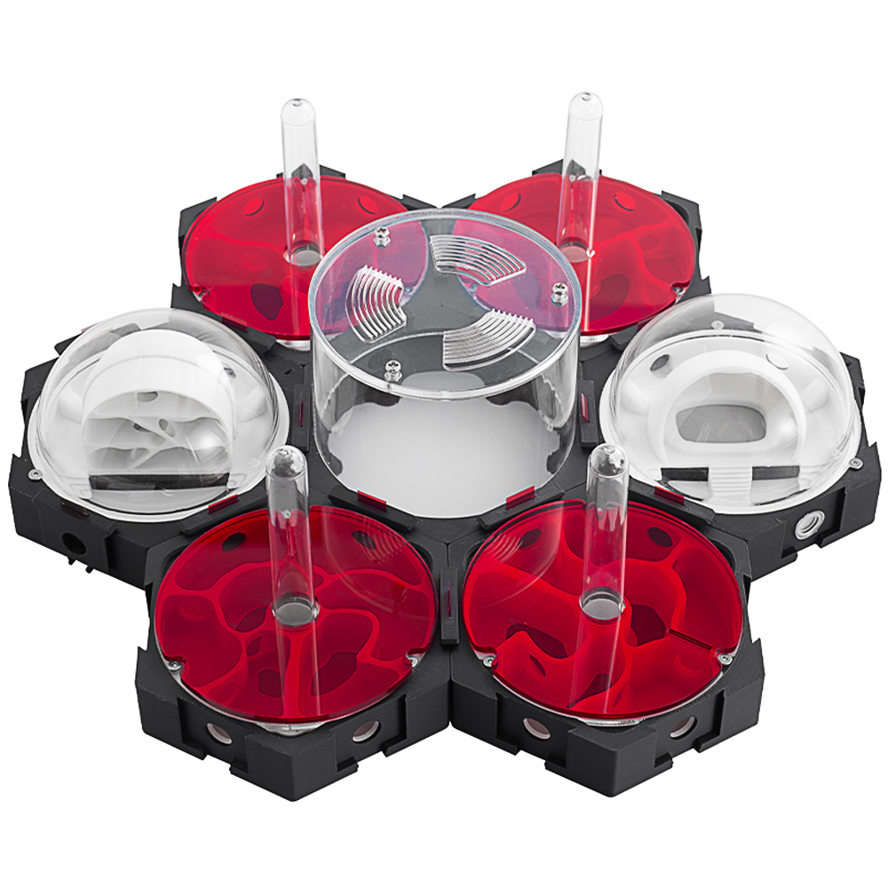 3D การพิมพ์ Ant Nest Infinitel - Begonia Rex บทวิจารณ์และราคา