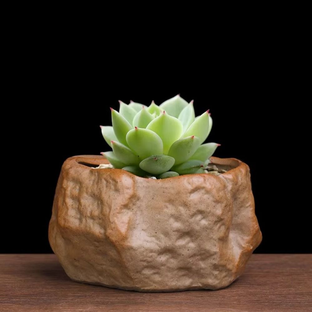 กระถางต้นไม้เซรามิกฉ่ํารูปร่าง - Aloe Vera Pot บทวิจารณ์และราคา