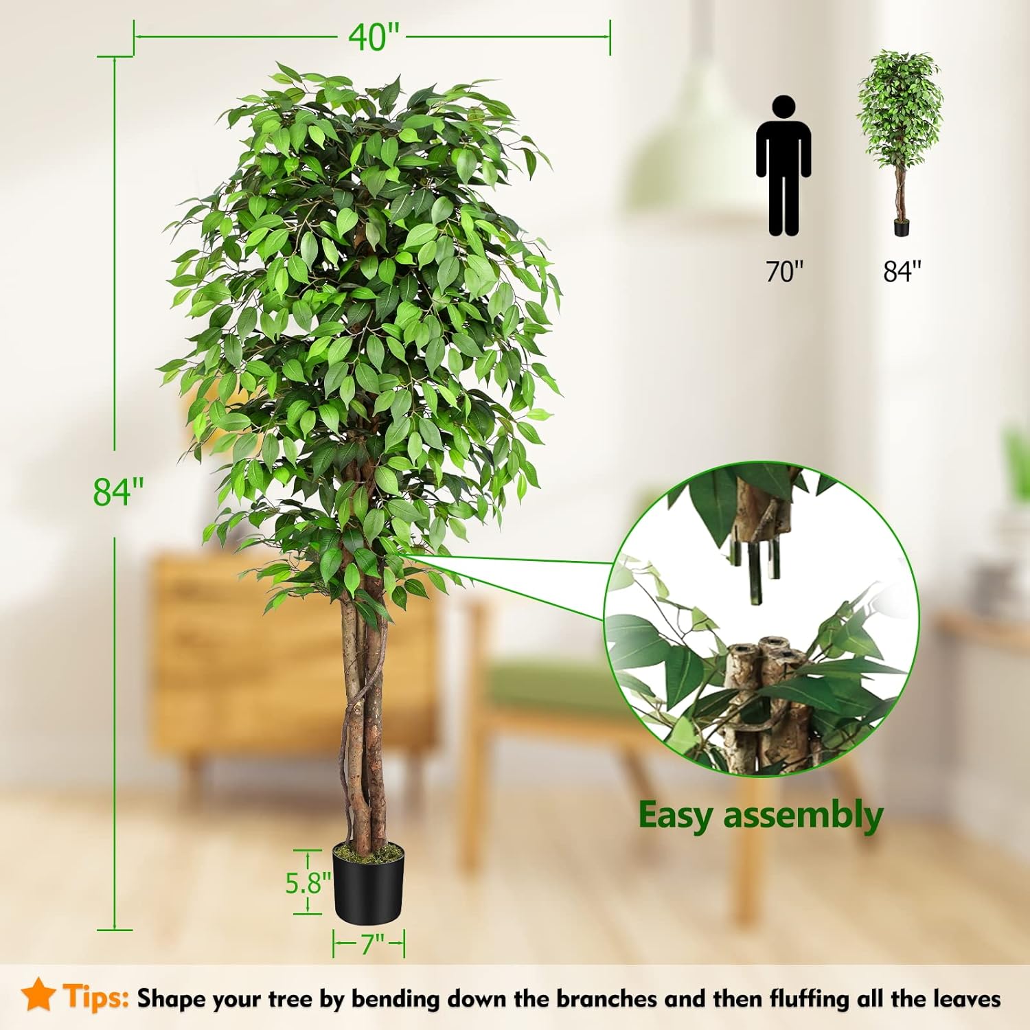 ต้นไทรประดิษฐ์เสมือนจริงพร้อมล - Dracaena Marginata บทวิจารณ์และราคา