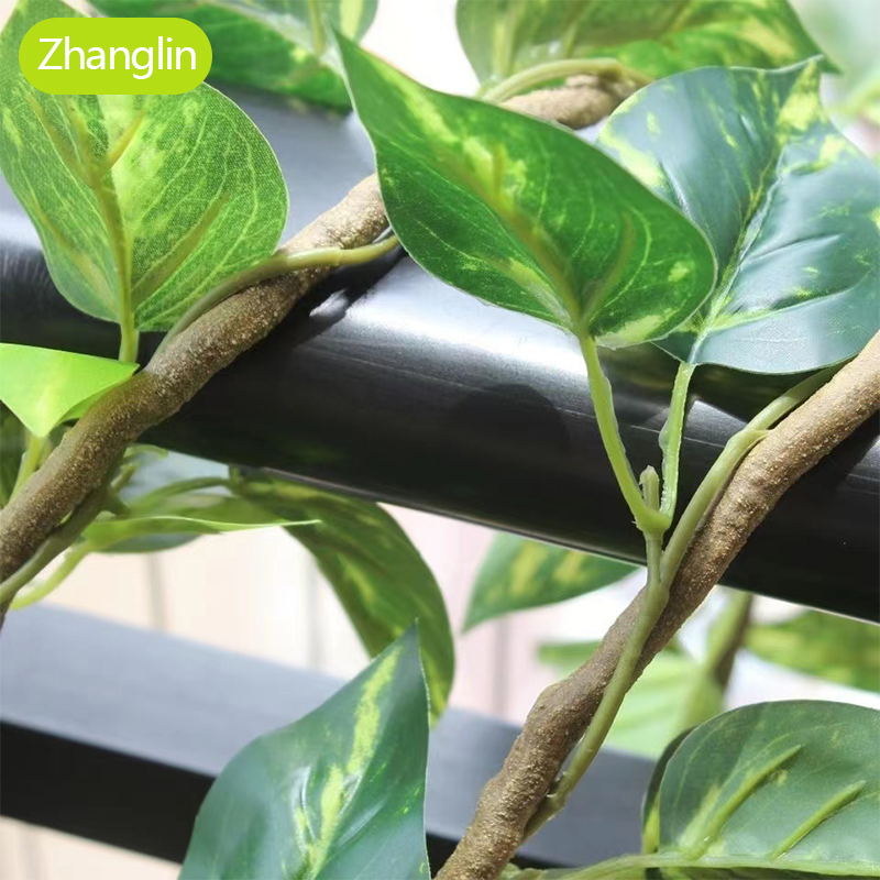 ต้นไม้ประดิษฐ์ ใบไม้สีเขียว ไม - Monstera Adansonii บทวิจารณ์และราคา