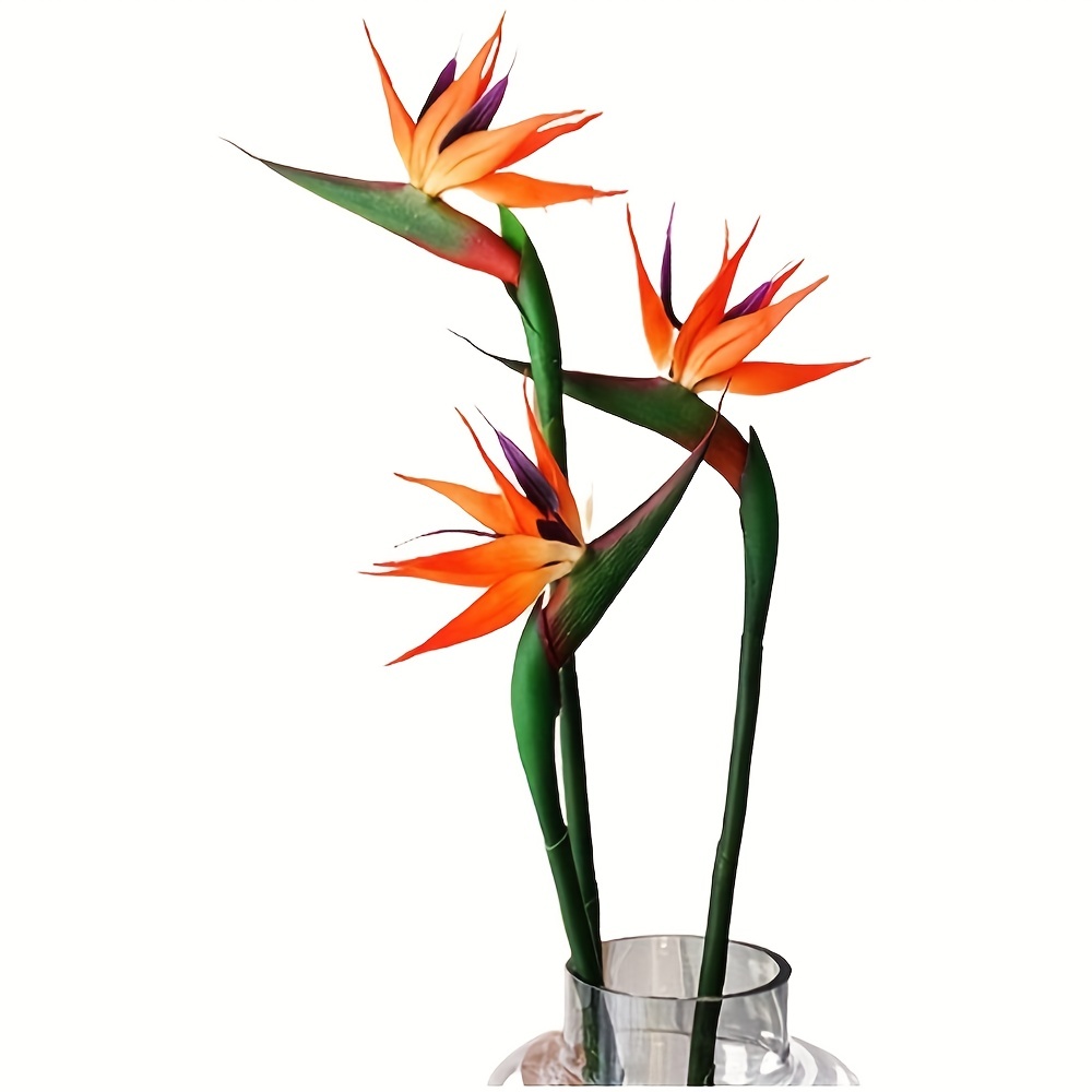 3 ชิ้นประดิษฐ์สวรรค์นกดอกไม้ปล - Bird Paradise Strelitzia บทวิจารณ์และราคา