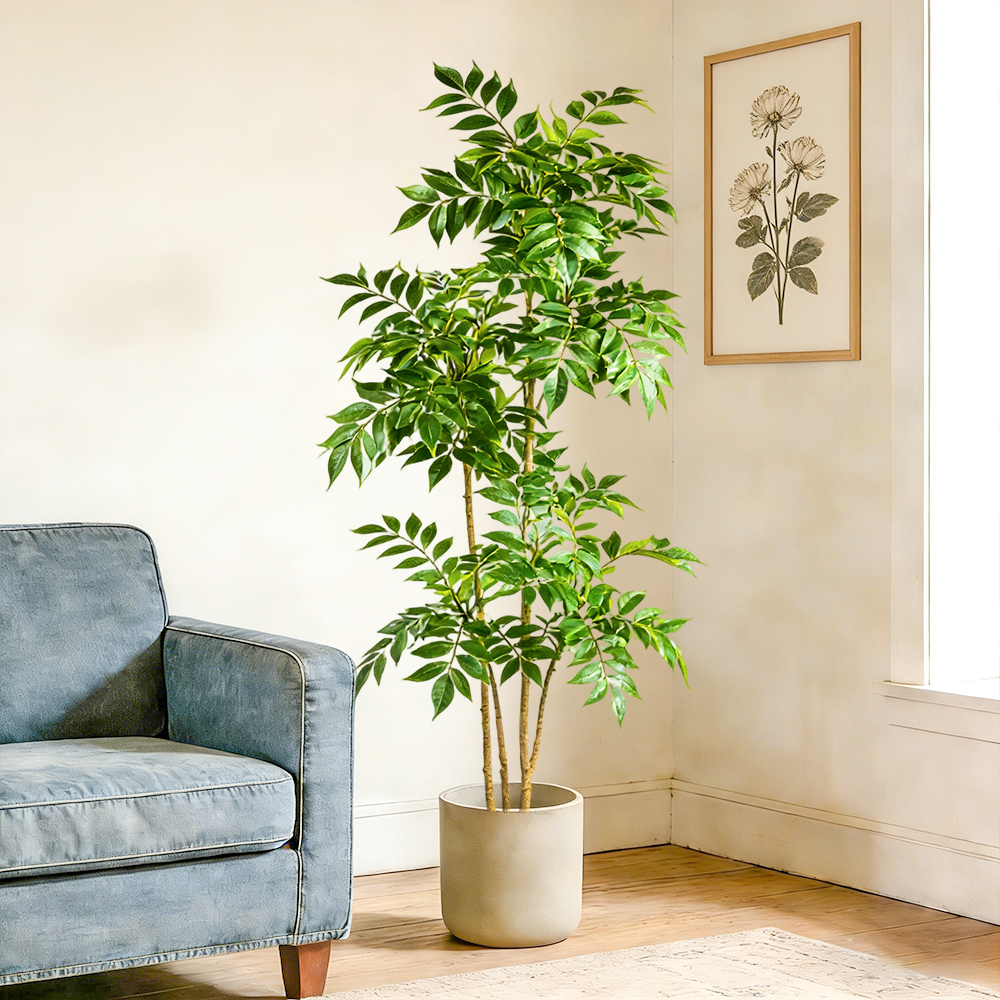 ต้นยางพาราเทียมขนาด 76-140 ซม. - Dracaena Marginata บทวิจารณ์และราคา