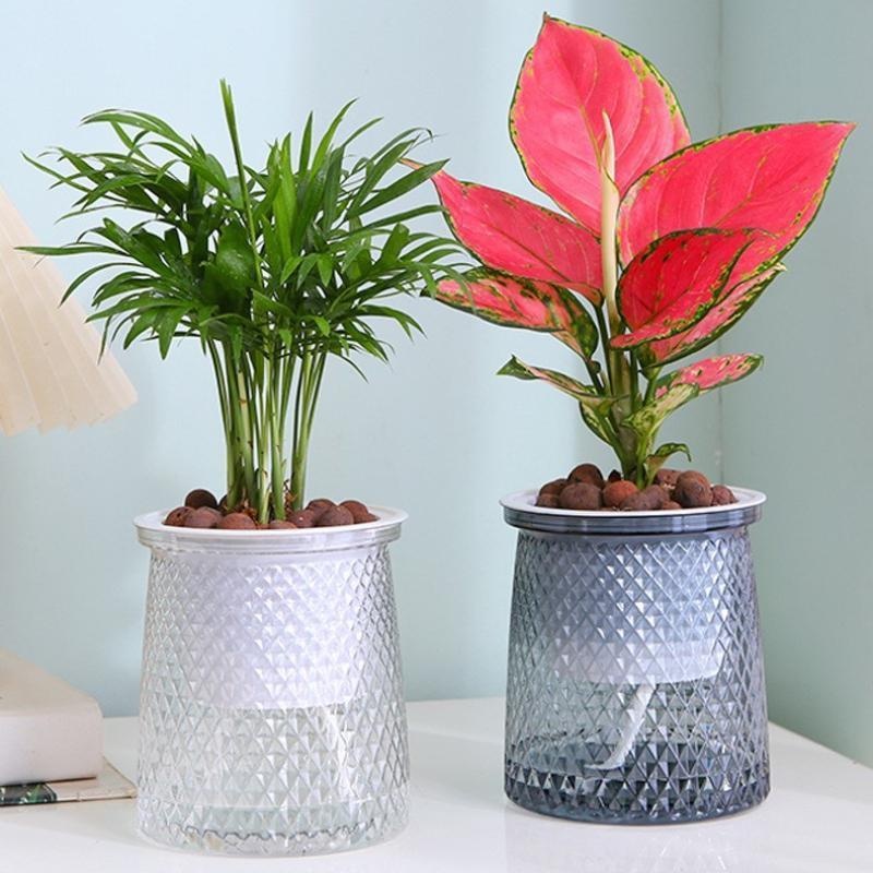 2024โปร่งใสรดน้ําด้วยตนเองดอกไ - Aloe Vera Pot บทวิจารณ์และราคา