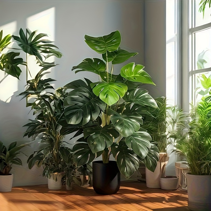 ต้นปาล์มมอนสเตอร่าประดิษฐ์ ต้น - Dracaena Marginata บทวิจารณ์และราคา