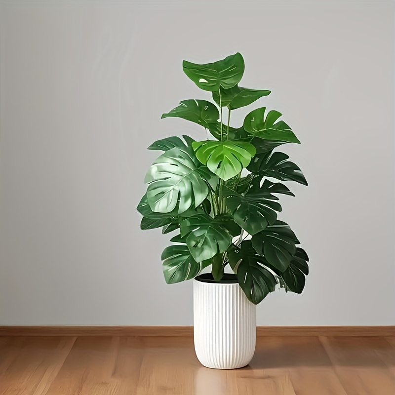 ต้นปาล์มมอนสเตอร่าประดิษฐ์ ต้น - Dracaena Marginata บทวิจารณ์และราคา