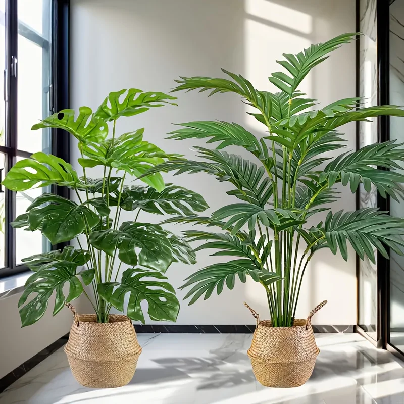 2 ชิ้นสีเขียว 24 ใบพืชปาล์มประ - Monstera Adansonii บทวิจารณ์และราคา