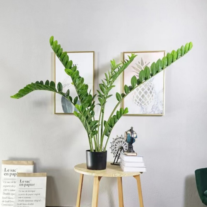 ประดิษฐ์ขนาดใหญ่ Banyan สาขาพื - Dracaena Marginata บทวิจารณ์และราคา