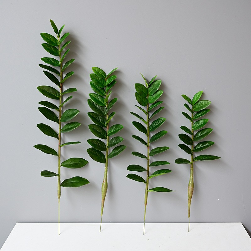 ประดิษฐ์ขนาดใหญ่ Banyan สาขาพื - Dracaena Marginata บทวิจารณ์และราคา
