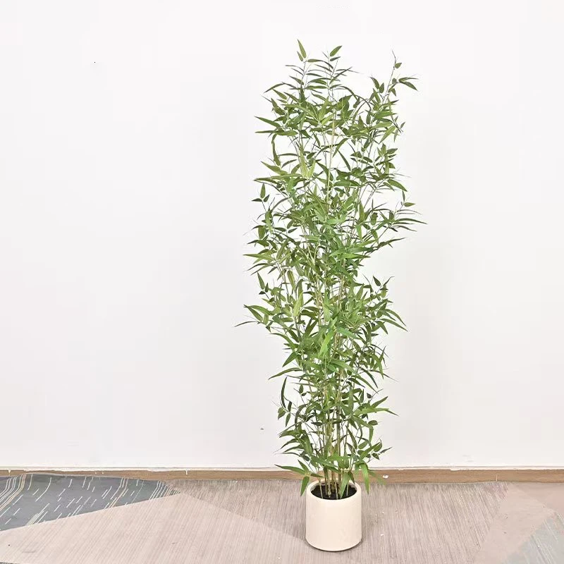 ต้นปาล์มปลอมขนาดใหญ่ 70-150 ซม - Dracaena Marginata บทวิจารณ์และราคา