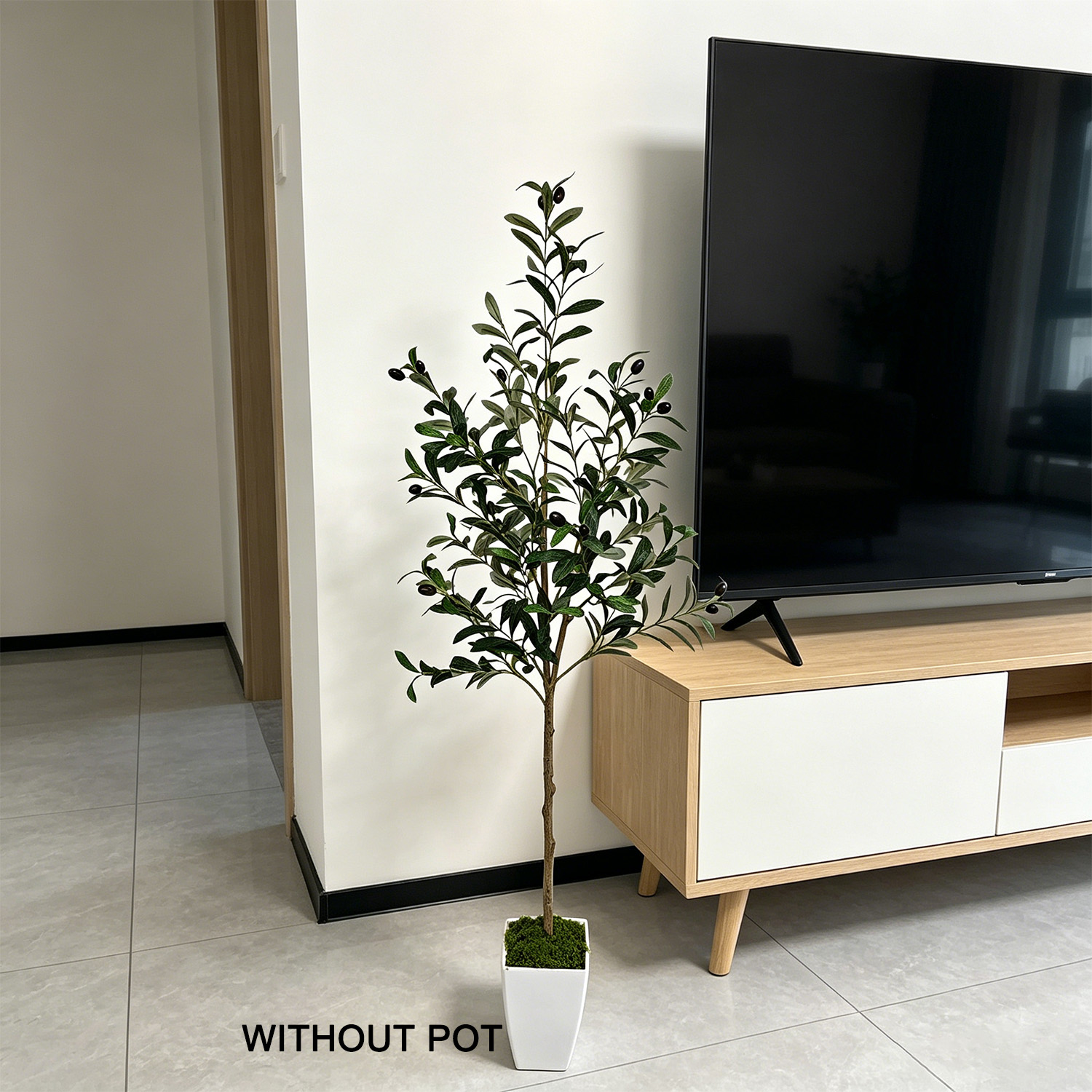 ต้นมะกอกเทียมขนาด 120-180 ซม.  - Dracaena Marginata บทวิจารณ์และราคา